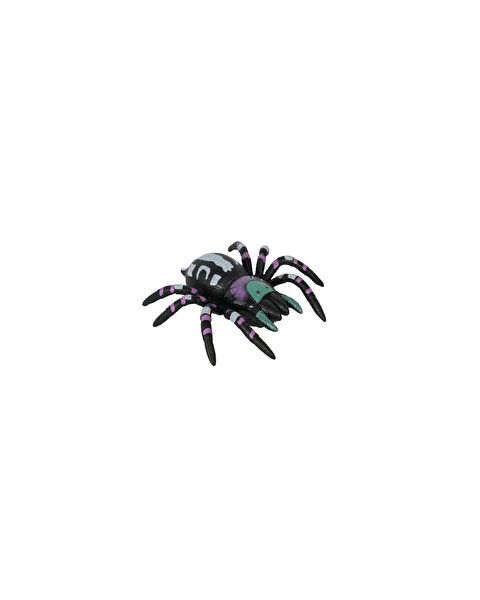 Tırmanabilen Tarantula