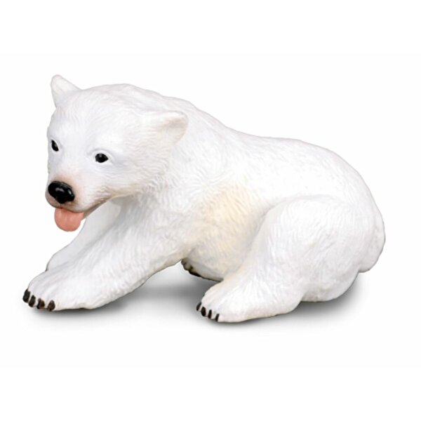 Collecta Oturan Yavru Kutup Ayısı