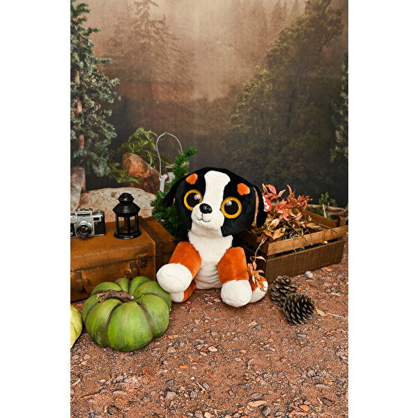 TY Beanie Boo´s Köpek Roscoe 40 Cm