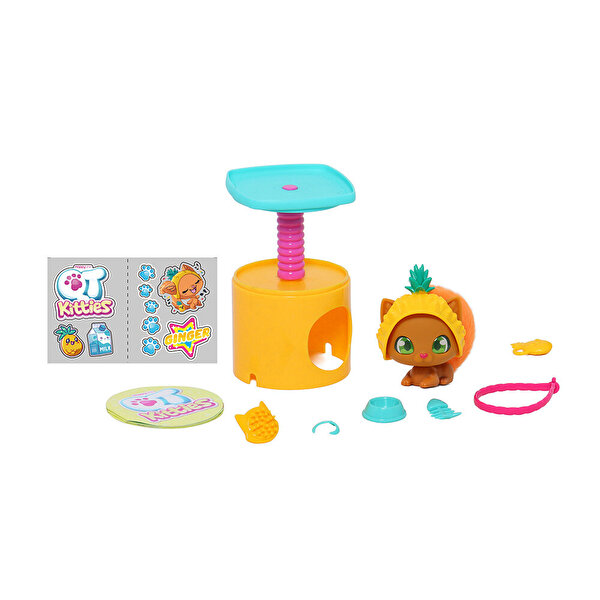 QT Kitties Ginger Yavru Kedi