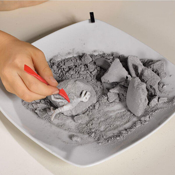 Kazıcı Dinoskeletonlar Stegosaurus