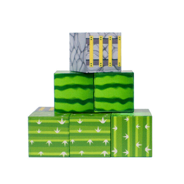 Magnivity Manyetik Bloklar Karpuz-Kaktüs-Merdivenli Taş Bloklar 9 Parça