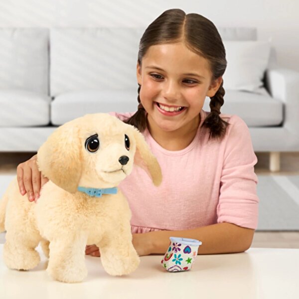 LLP Yavru Köpek İyileşiyor 26679