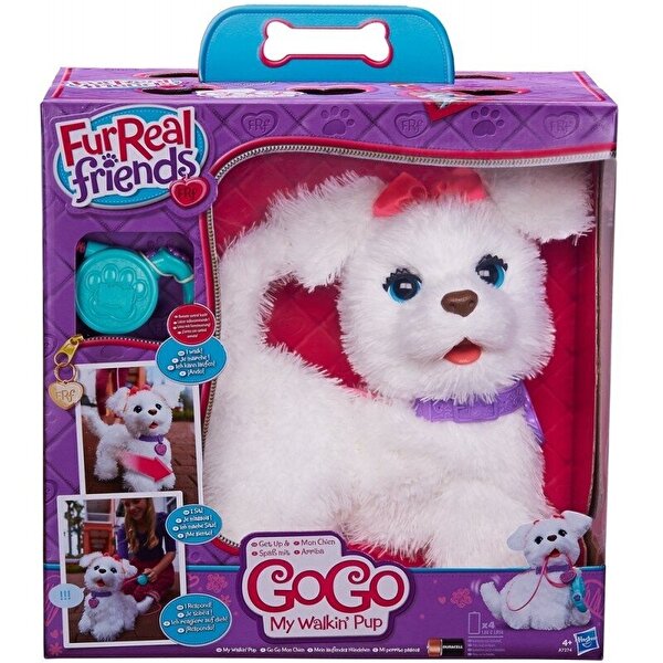 Yeni Cici Köpeğim Gogo