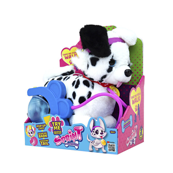 Sevimli Koşu Arkadaşım Dalmayalı Cookie