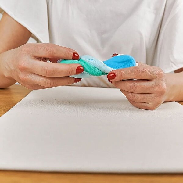 OKTO Koi Fish 3D Duyusal Sanat Seti