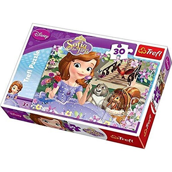 Disney Çocuk Puzzle 30 Parça Sofia The First Roses