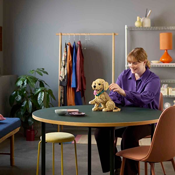 LEGO Icons Yavru Golden Retriever 11384