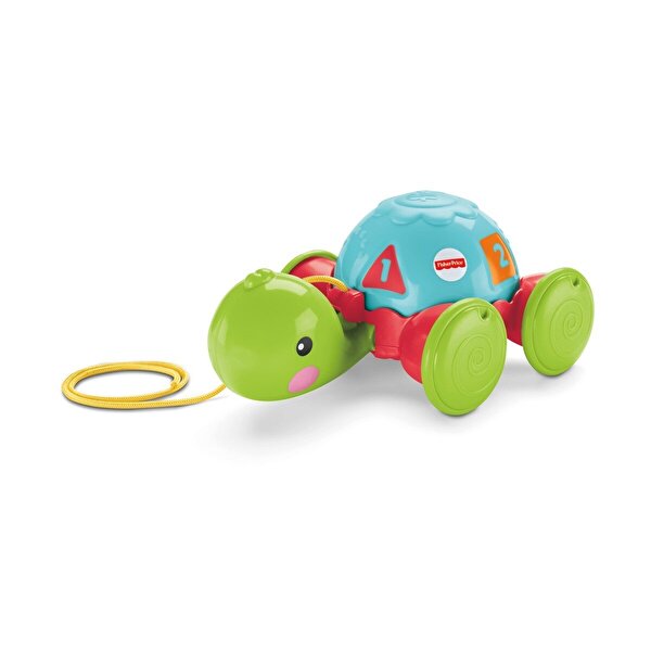 Fisher Price Çek Çek Kaplumbağa Y8652