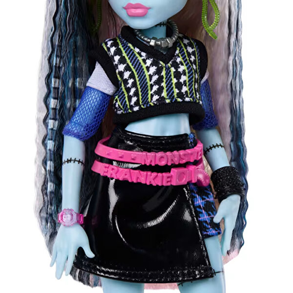 Monster High Ana Karakter Bebekler Frankiestein JHK31