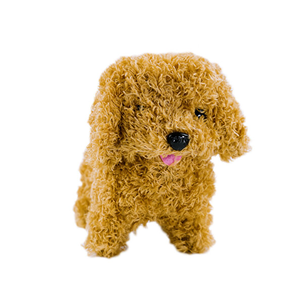 Kutulu Yürüyen ve Sesli Sevimli Peluş Köpek