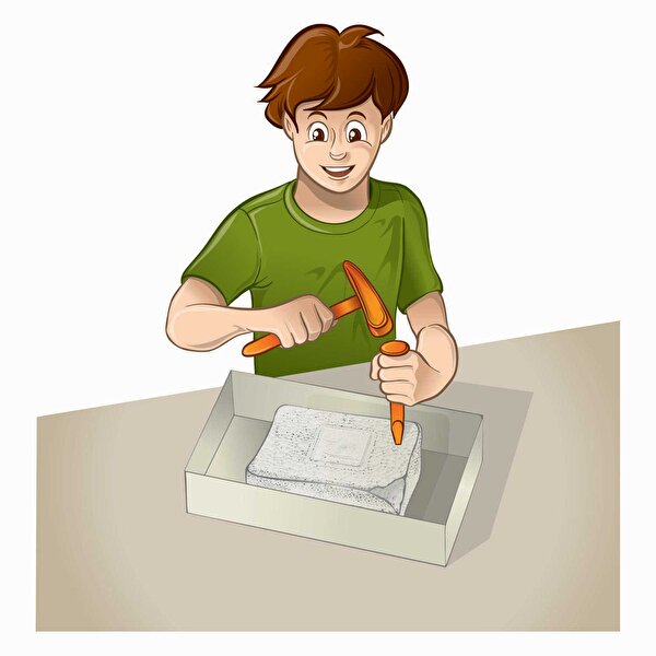 Clementoni Jurassic World Mosasaurus ve Brachiosaurus Kazı Seti