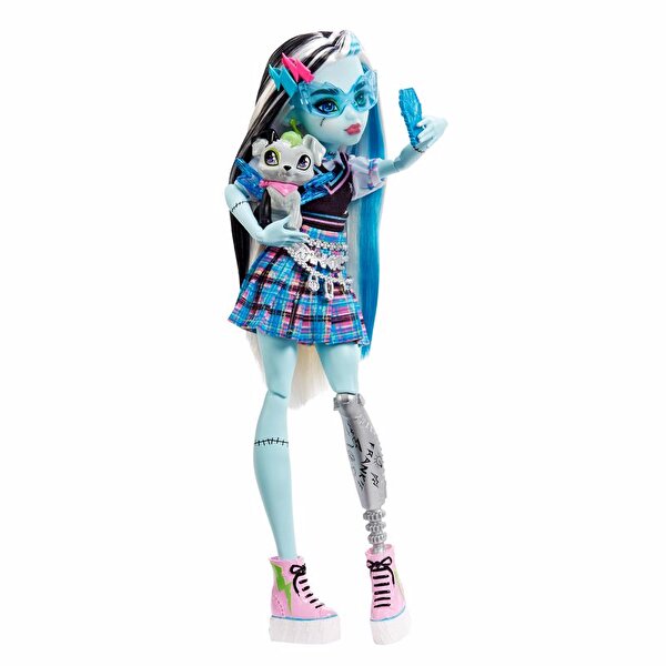 Monster High Ana Karakter Bebekler Frankie Stein HHK53
