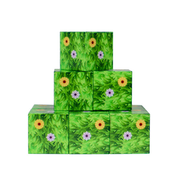 Magnivity Manyetik Bloklar Çiçekli Çim Desenli Blok 9 Parça