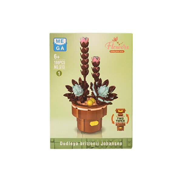 Mega Bitki Çiçekleri Sukulent 188 Parça