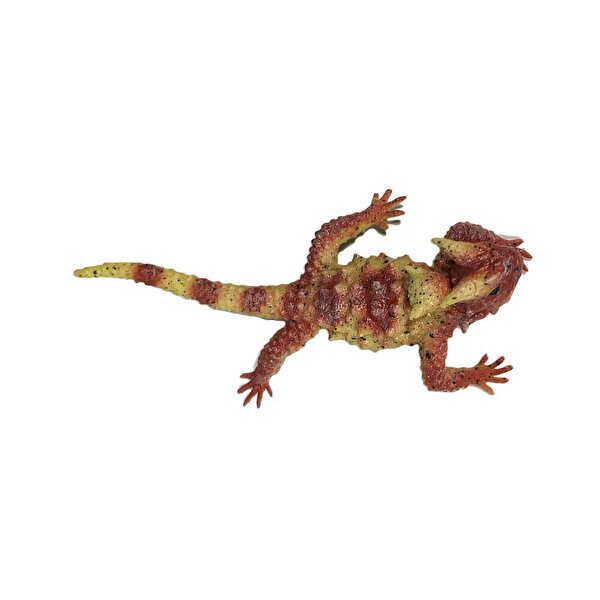 Stretch Kırmızı Kertenkele
