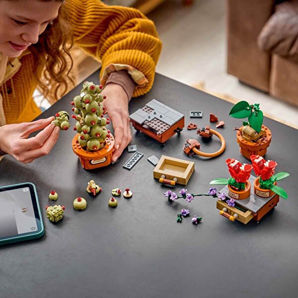 LEGO Harry Potter Hogwarts Bitkibilim Bitkileri 76474
