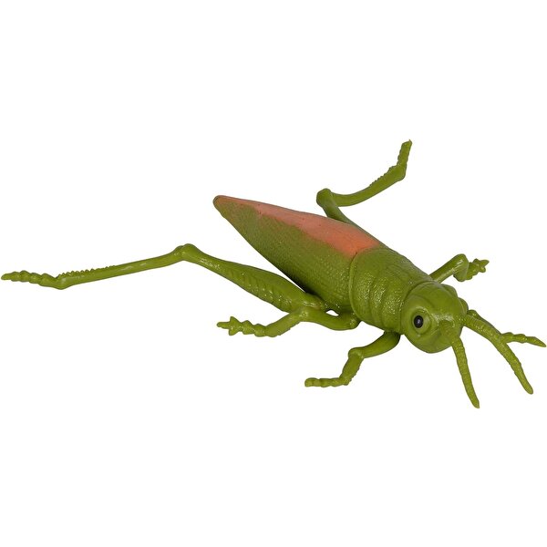 Stretch Hayvanlar Çekirge