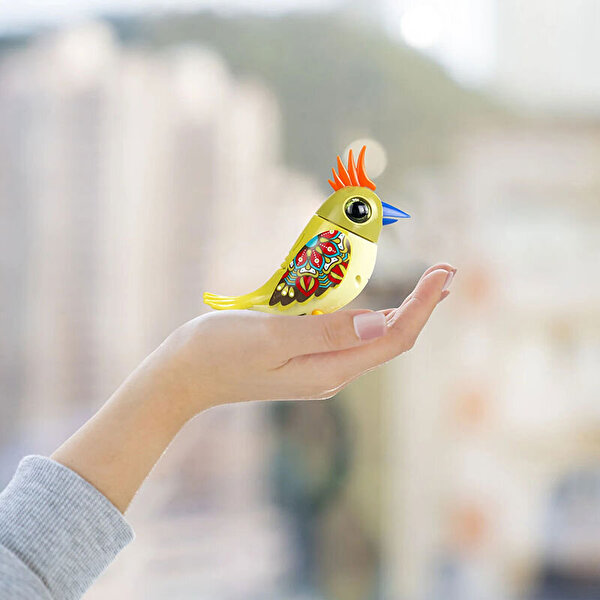 Digibirds Tekli Paket Seri 2 Sarı Yeşil