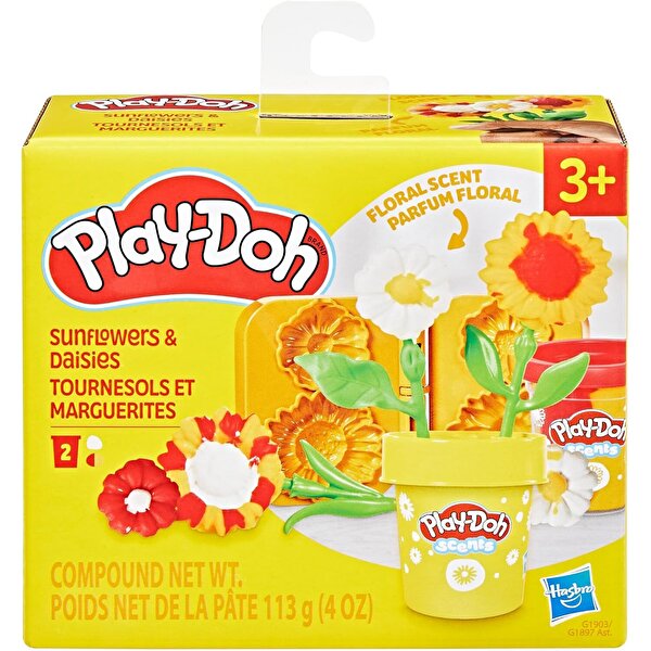 Play Doh Sunflowers & Daisies Flower Oyun Seti G2476
