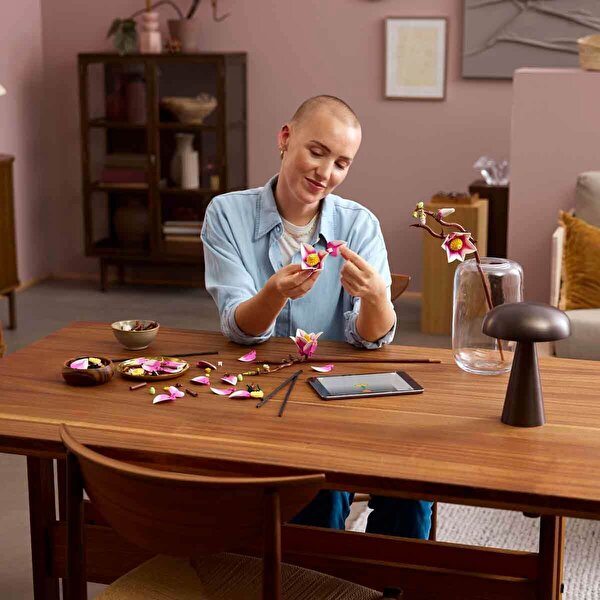 LEGO Botanicals Manolya Dalları 11510