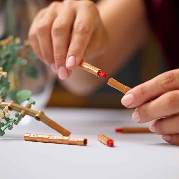 LEGO Botanicals Ayçiçeği Buketi 11502