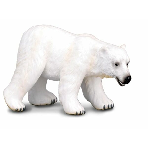 Collecta Kutup Ayısı