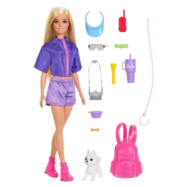 Barbie Malibu Bebek ve Aksesuar Seti JJV59