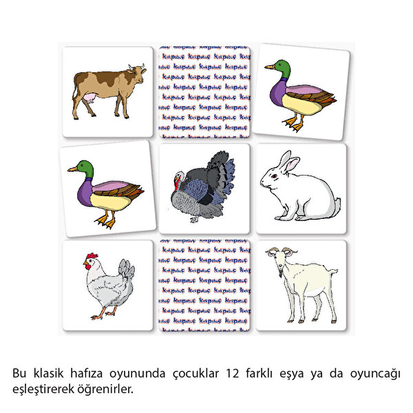 Kırkpabuç Çiftlik Hayvanları Hafıza Oyunu