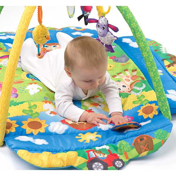 Playgro Mutlu Çiftlik Işıklı ve Sesli Oyun Halısı
