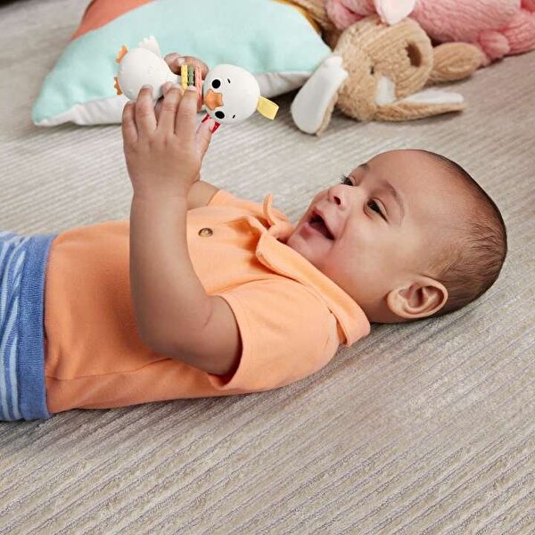 Fisher-Price Sensimals Dişlik HRB22