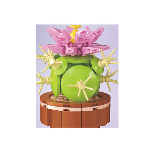 Mega Bitki Çiçekleri Kaktüs 181 Parça