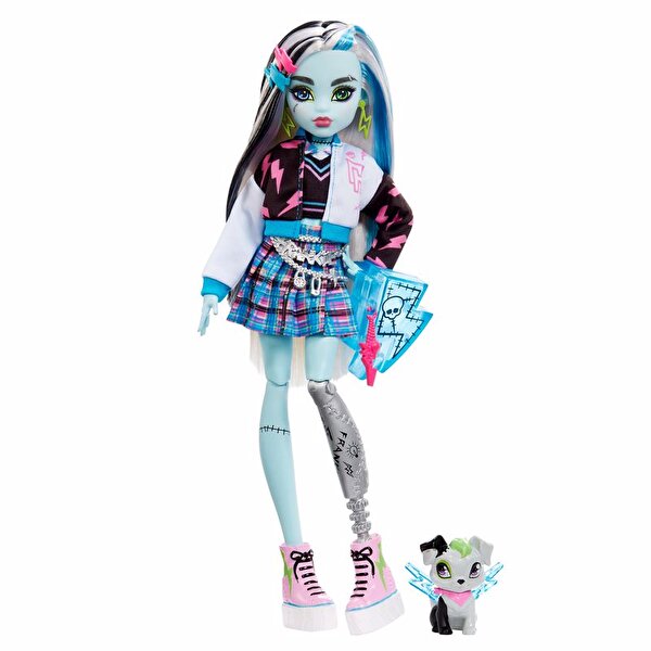 Monster High Ana Karakter Bebekler Frankie Stein HHK53