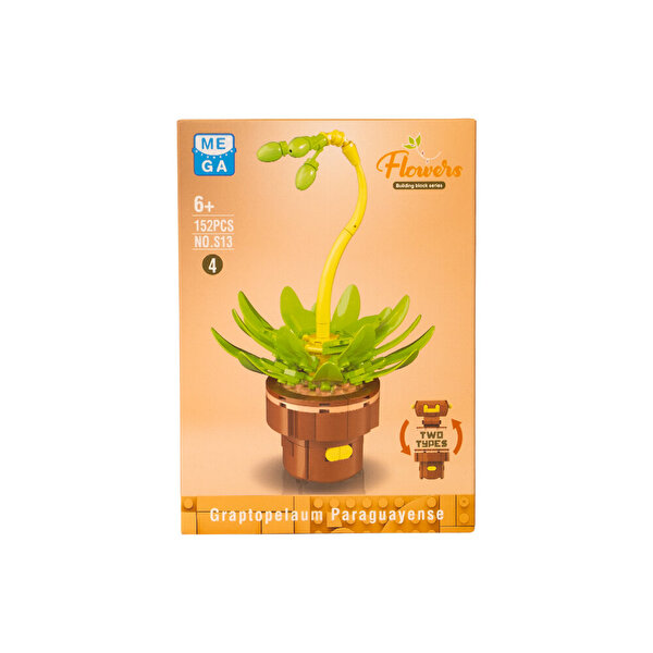 Mega Bitki Çiçekleri Sukulent 152 Parça