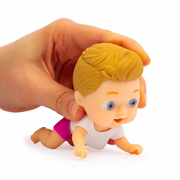 Ciciobello Amiccici Tatilde Cicciosteph