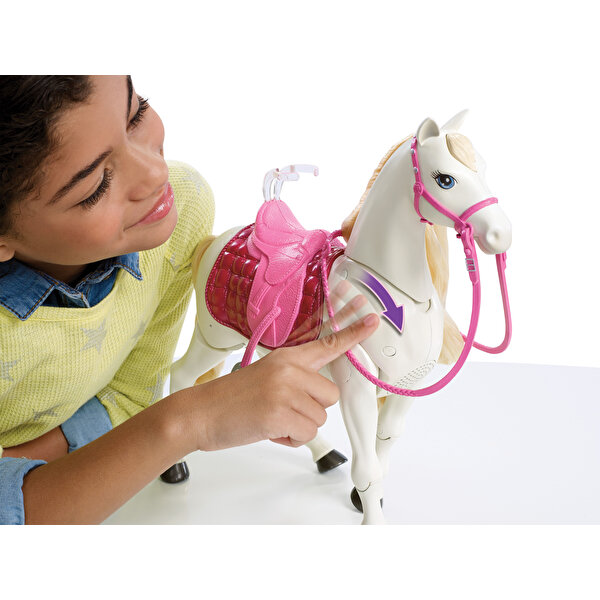 Barbie ve Muhteşem Atı