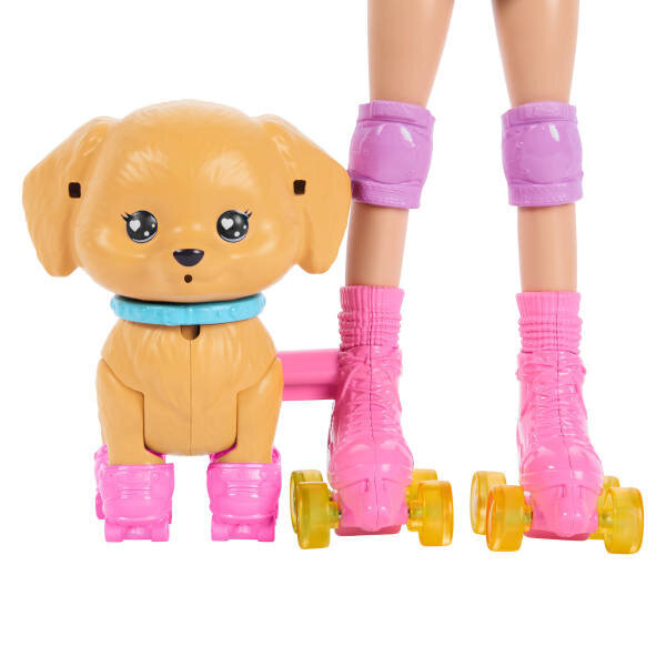 Barbie Pets Paten Macerası Bebek ve Sevimli Köpek Oyun Seti JMJ44
