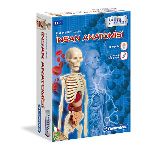 Clementoni İnsan Anatomisi