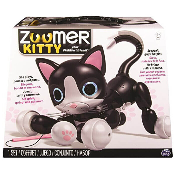 Zoomer Kitty