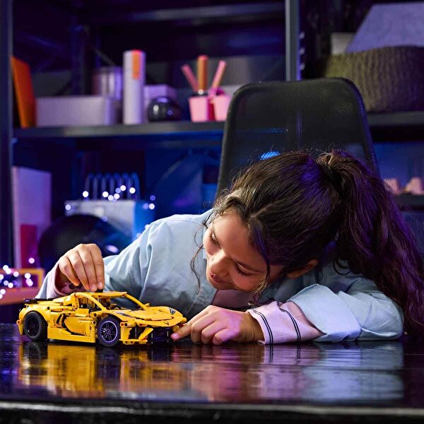 LEGO Technic Chevrolet Corvette Stingray 42205