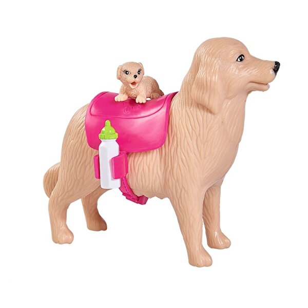 Evi Love Köpek Bakıcısı