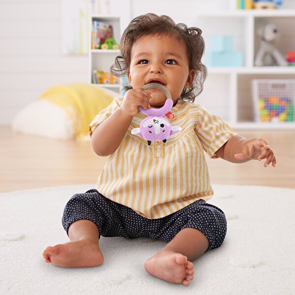 Fisher Price Örgü Dişlik Seti Keçi GRR04