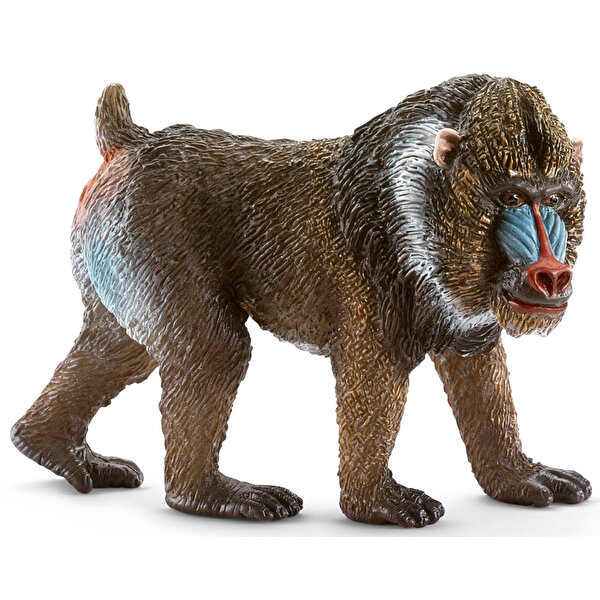 Schleich Mandril Erkek