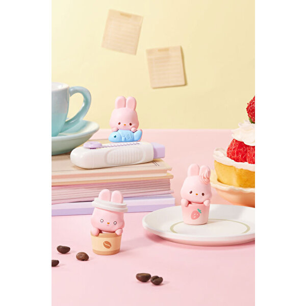 Momo Bunny Life Diar Serisi Sürpriz Paket Koleksiyon Figürü