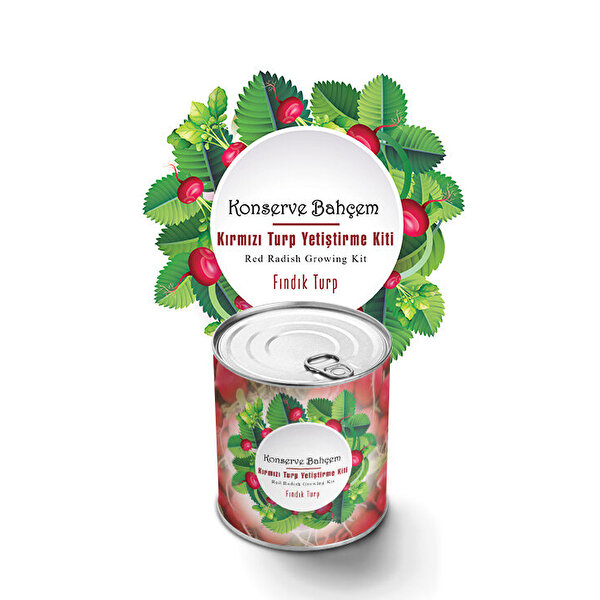 Konserve Bahçem Kırmızı Turp Fındık Turp Yetiştirme Kiti