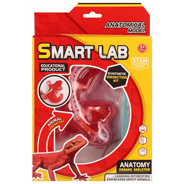 Kertenkele Laboratuvar Seti