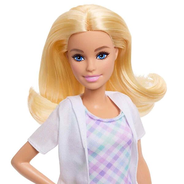 Barbie Kariyer Bebeği Diş Hekimi Oyun Seti JMK14
