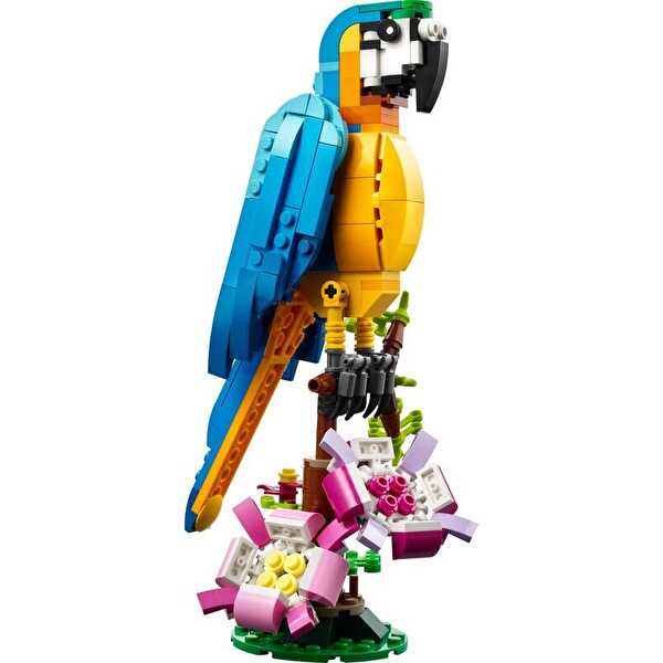 LEGO Creator 3’ü 1 Arada Egzotik Papağan 31136