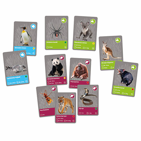 Clementoni Bilim ve Oyun: Dünyadaki Hayvanların Tarihi