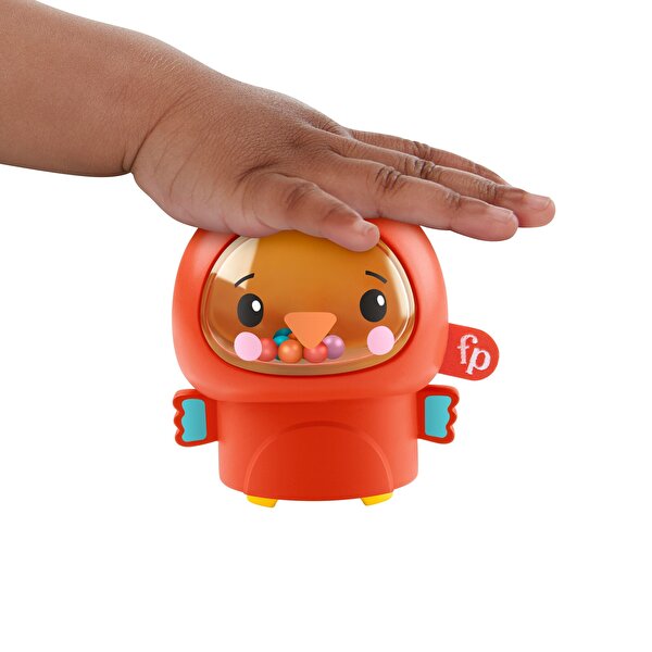 Fisher Price Mini Hayvancıklar Aktivite Oyuncağı Kuş GXC62